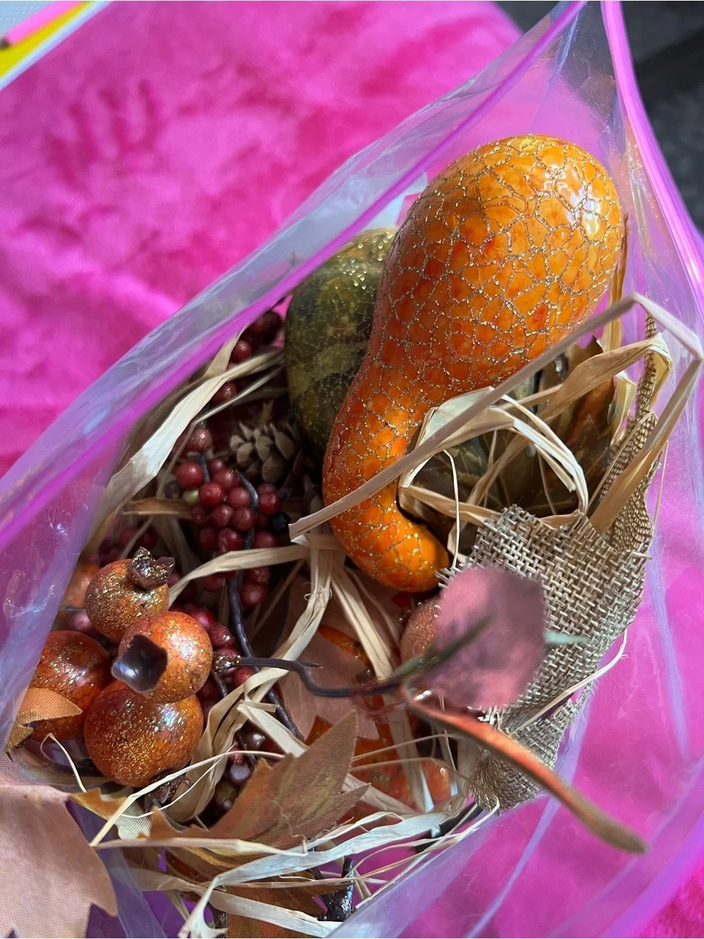 Bag of Decorative Gourds, Pumpkins, Acorns, Pinecones, etc